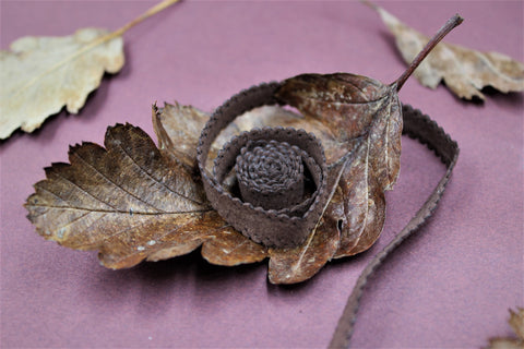 Braid 8138 in colour cocoa is coiled up on a brown leaf with leaves in the background