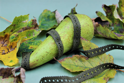 Braid 8137 in colour khaki is wrapped around a green pear surrounded by green and yellow autumn leaves