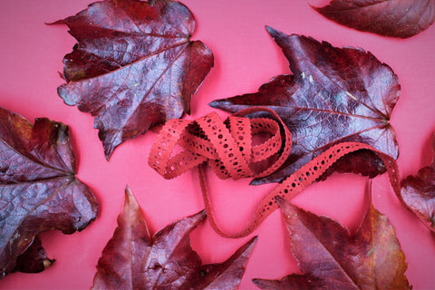 Punched Suedette Braid 8137 in colour Red lays on a backdrop of rich red leaves and a bright red background