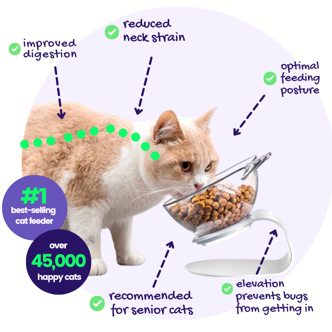 PurrBowl™ Orthopedic Anti-Vomiting Cat Feeder – Purr Heaven