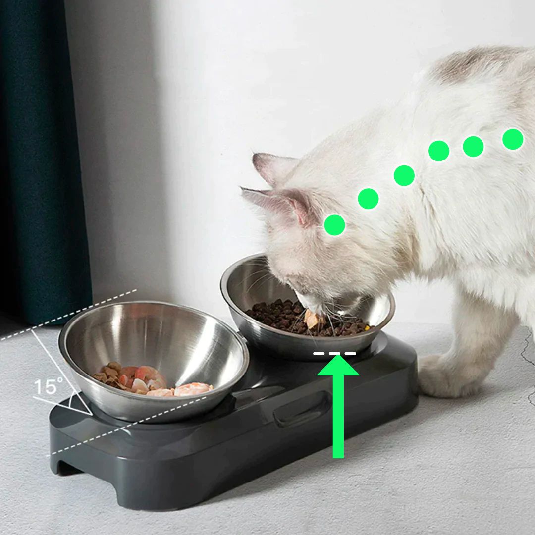 PurrBowl™ Orthopedic Anti-Vomiting Cat Feeder – Purr Heaven