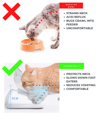 PurrBowl™ Orthopedic Anti-Vomiting Cat Feeder – Yourbestfriendshop