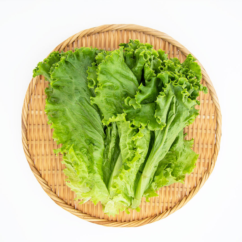 サラダ用野菜 リーフレタス グリーンカール Lサイズ こだわり生鮮のネットスーパー Perrot ペロット