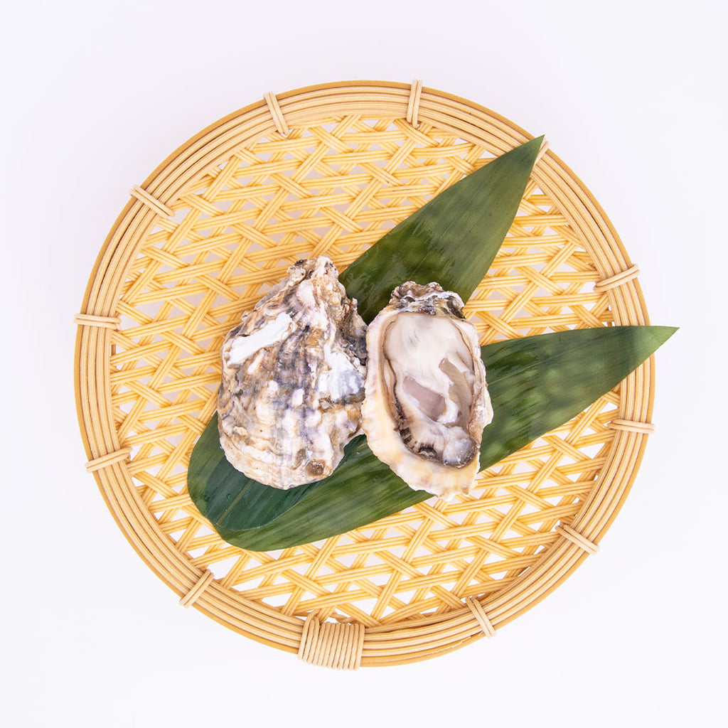 旨い牡蠣の産地として不動の人気 長崎県小長井産 殻付き真牡蠣 5個 こだわり生鮮のネットスーパー Perrot ペロット
