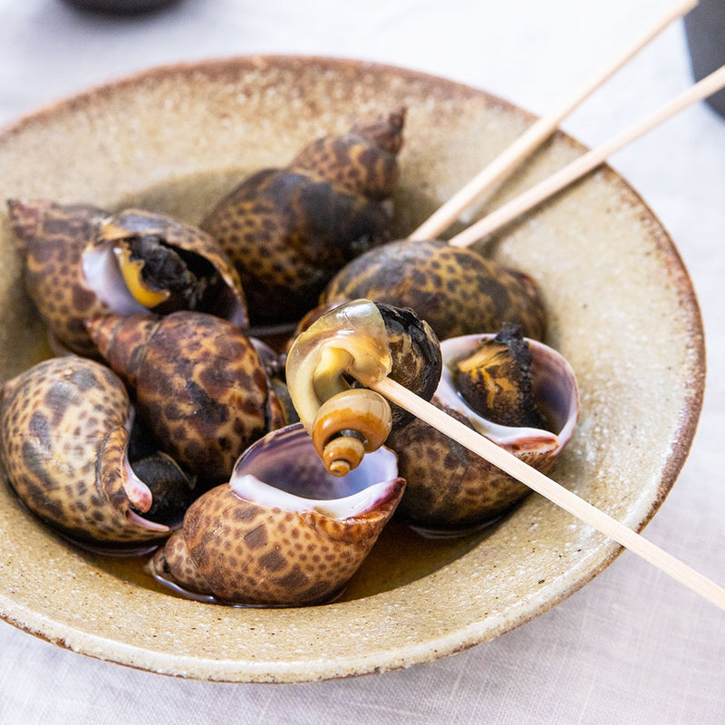 煮貝に最適 殻付き黒バイ貝 約500g こだわり生鮮のネットスーパー Perrot ペロット