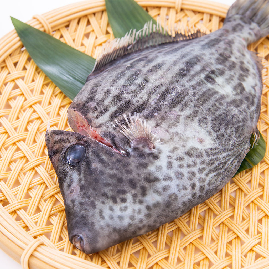 肝醤油で堪能 カワハギ 1尾 約300g こだわり生鮮のネットスーパー Perrot ペロット