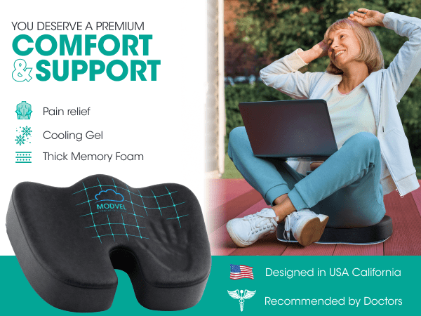 https://cdn.shopify.com/s/files/1/0258/5162/5551/files/seat-cushion-comfort-support.png?v=1685403450