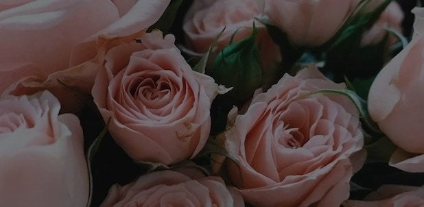 Florist Melbourne Buy Flowers Online Fresh Flowers Delivered
