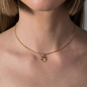Mini Shell Choker Necklace