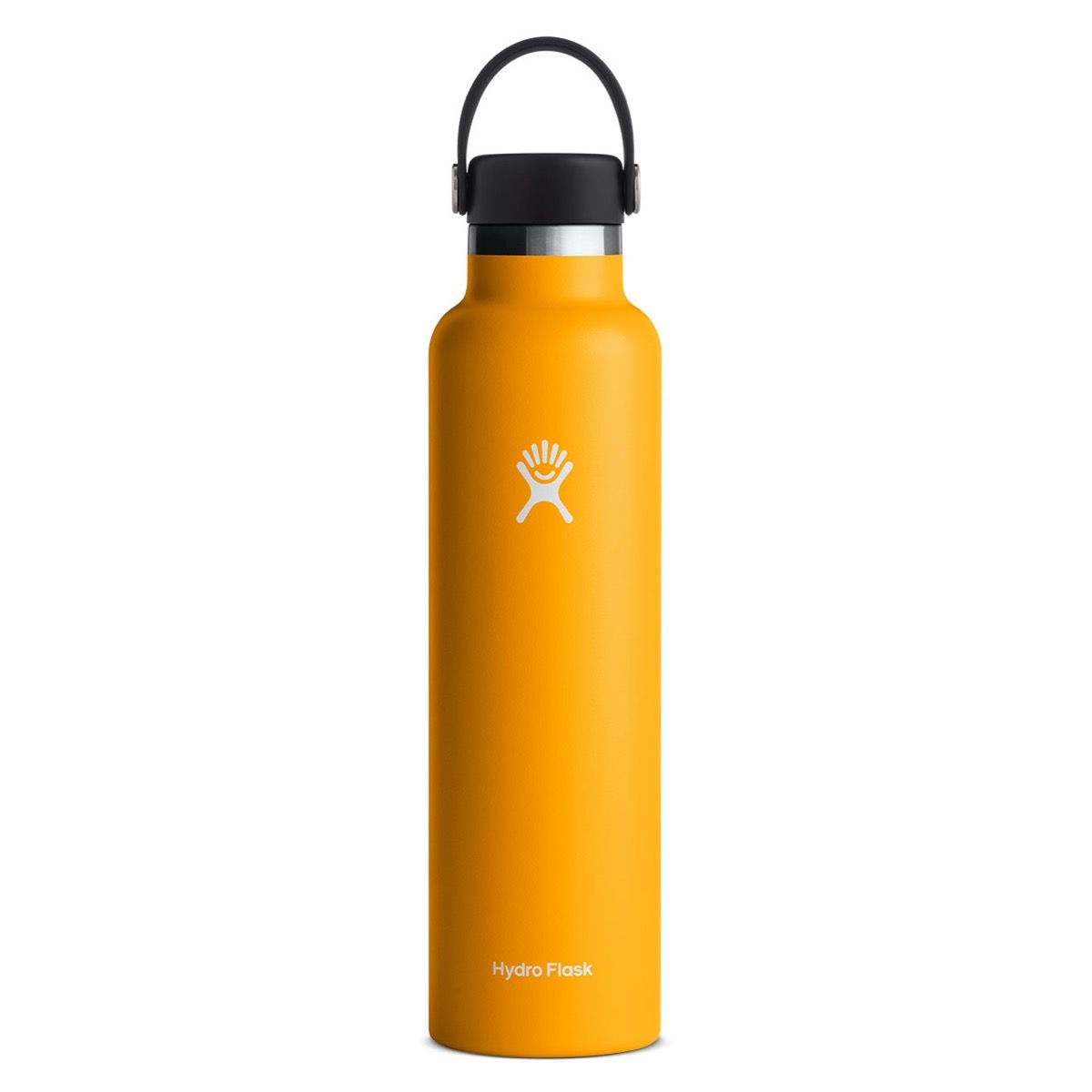 Hydro Flask 24 Oz Lupine Insulated Water Bottle S24SX474