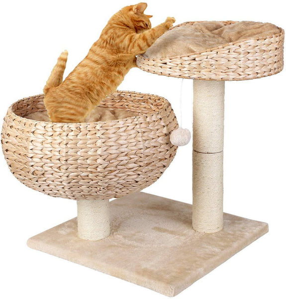 Arbre A Chat Design En Osier Chat Chou