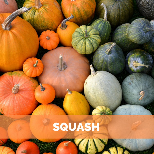 squash