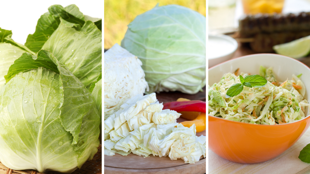 Best Ways to Use Your Fresh Cabbage