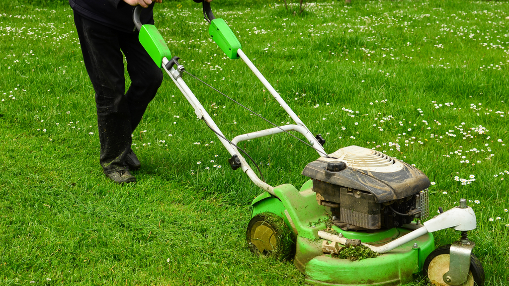 Give the Lawn a Refresh