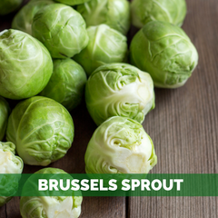 brussels sprout