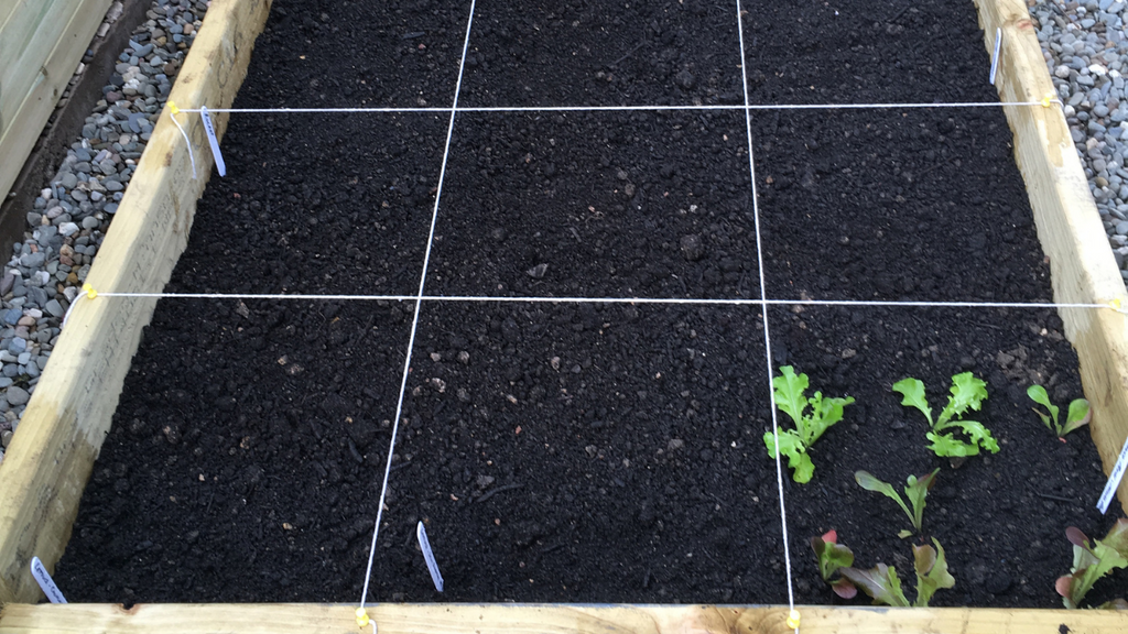 Inserting Grids on Raised Bed