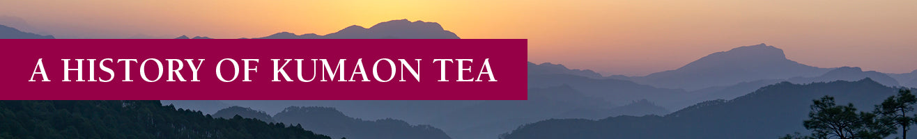 A History of Kumaon Tea