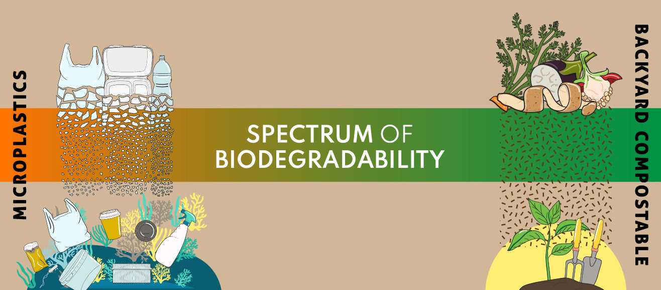 The Spectrum of Biodegradability Infographic