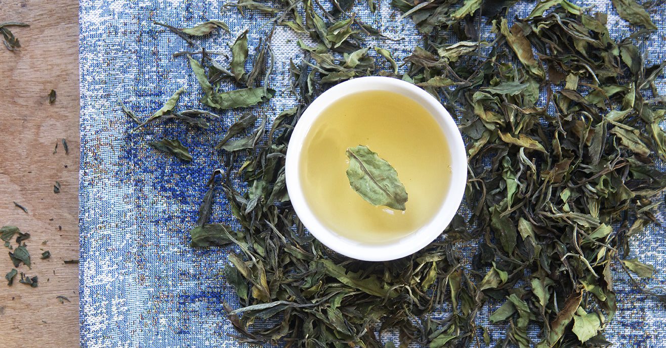 Cup of Kumaon White Tea brew sitting on a bed of whole leaf white tea.