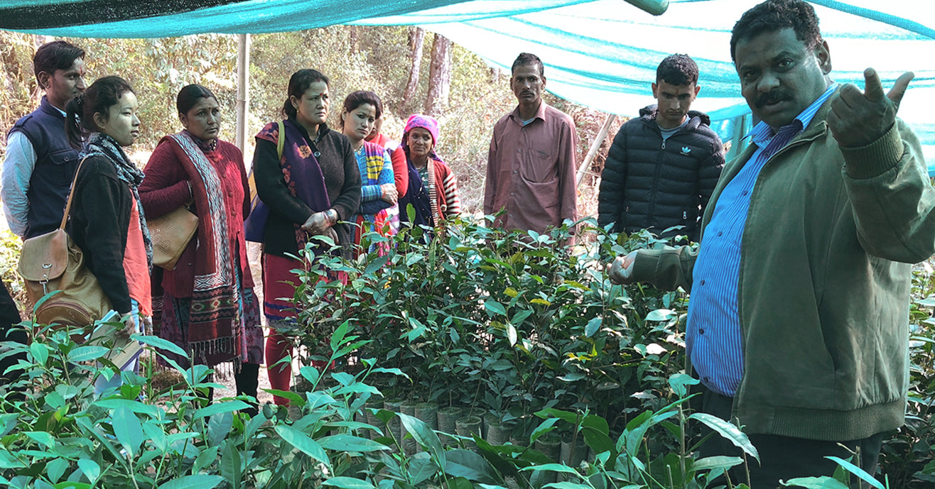 Desmond Birkbeck Talking to a Group of People among Tea Plants in Kumaon, India