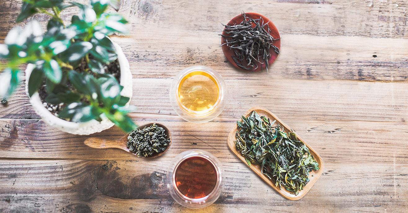 Top view of loose-leaf tea and brews in glass cups, next to a plant on a wooden table