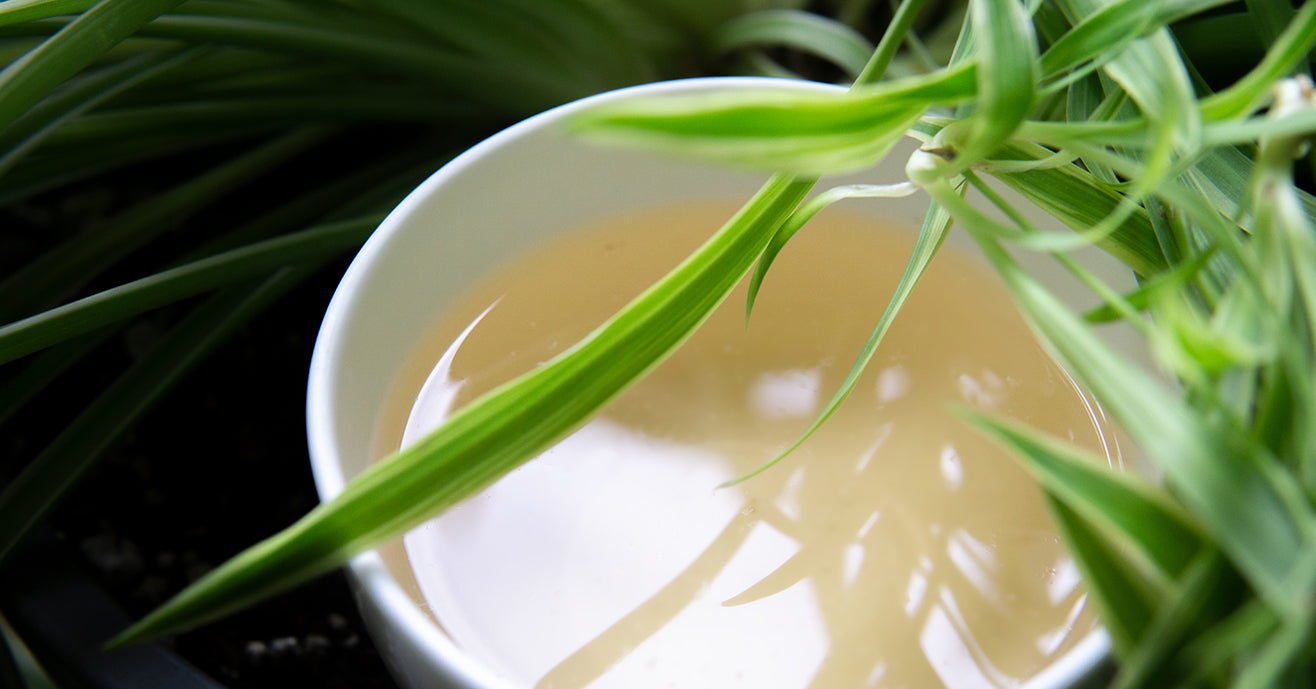 Green tea liquid in a white cup, reflecting shadows of leaves