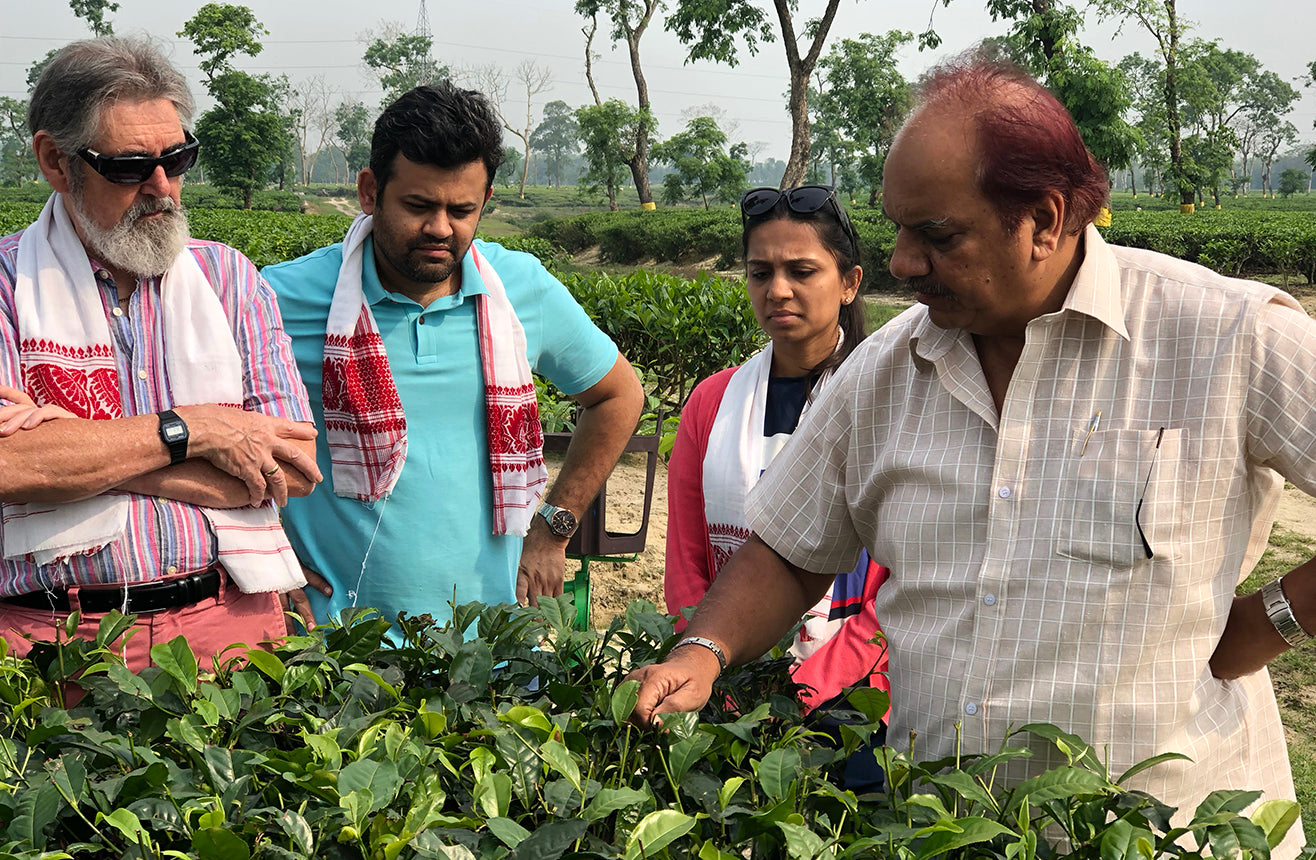 Tea Estate owners, educators and specialists examining tea plants in Assam India