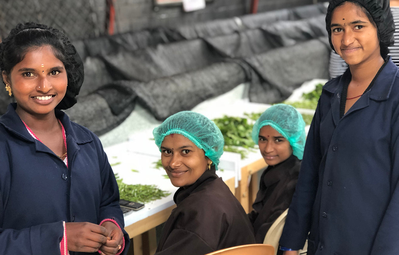 Four smiling women tea makers at the Tea Studio factory in the Nilgiris