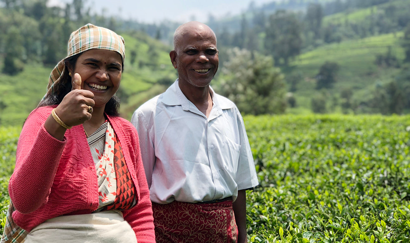 Female and male tea farmers standing in lush and sunny tea fields in the Nilgiris, with big smiles. The woman is giving the thumbs up.