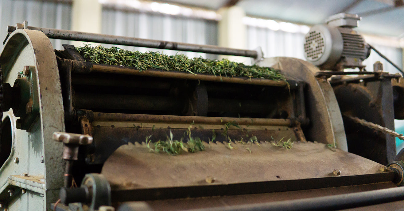 Tea drying machine, Kumaon, India