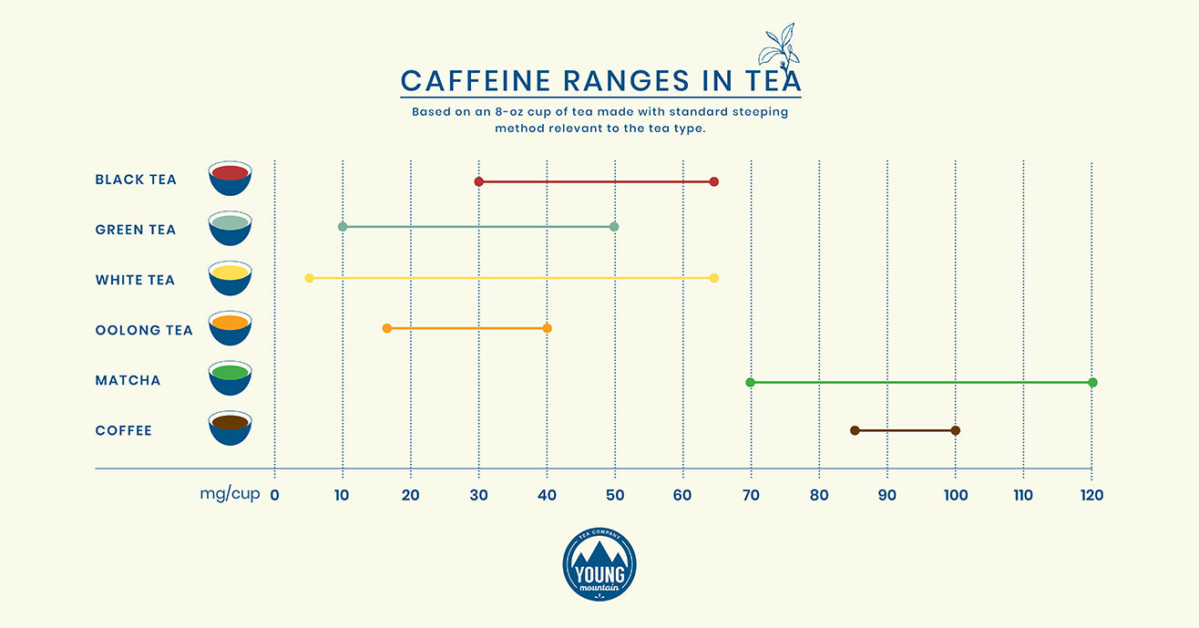 Is Tea High In Caffeine? – Young Mountain Tea