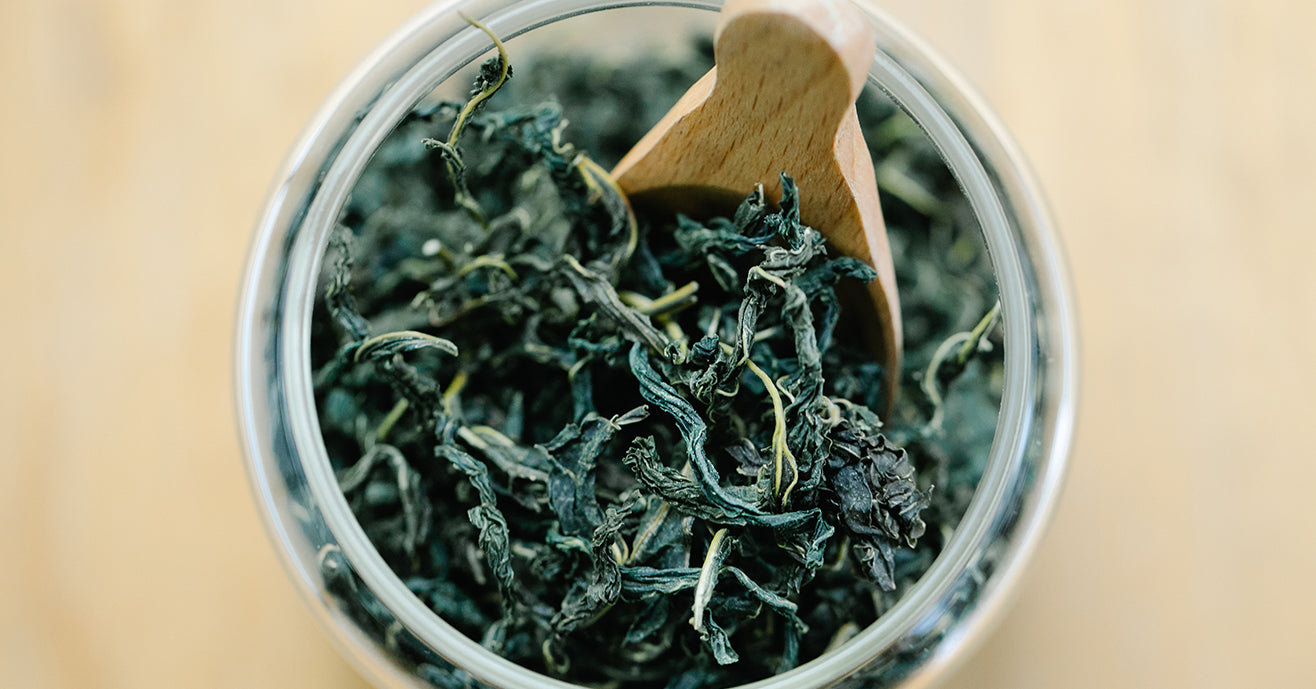 Twisted Loose-Leaf Green Tea in a jar, with a tea scoop