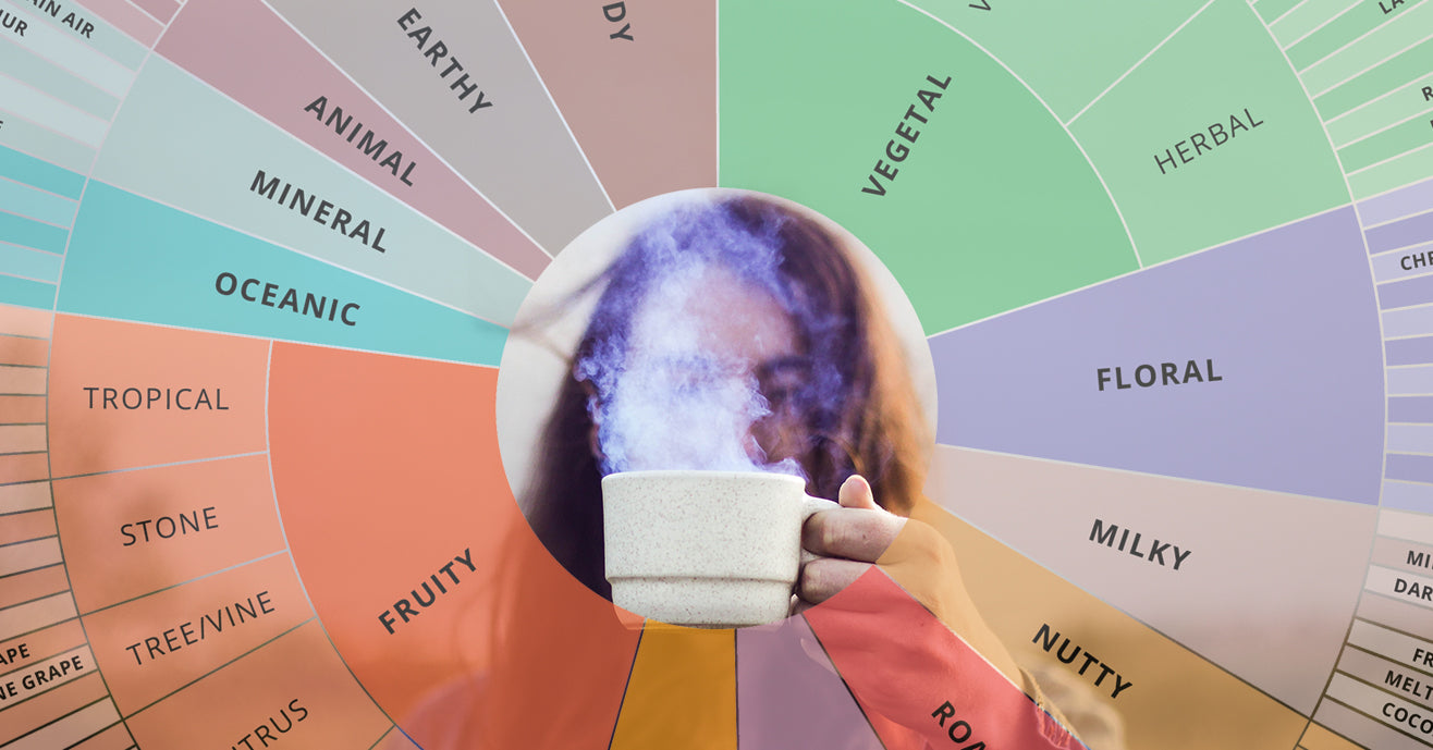 Person holding a white cup of tea with steam rising, with image of tea tasting wheel layered on top