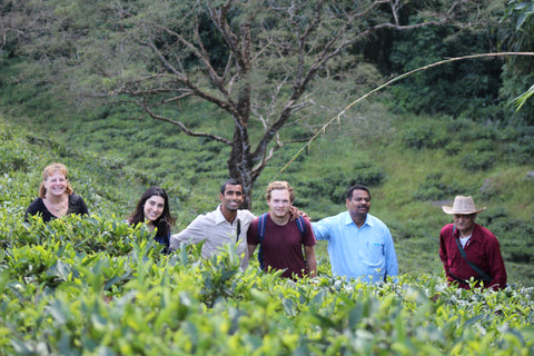 friends in an Indian biodynamic Tea garden- young mountain tea