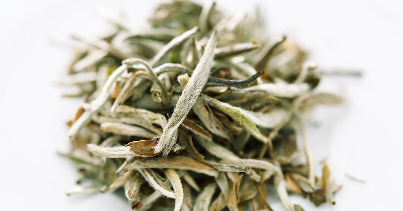 White tea needles 