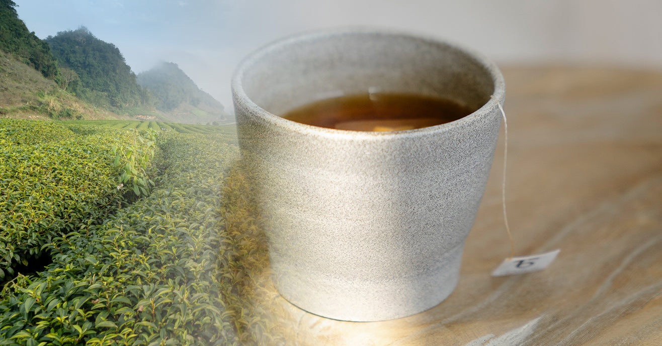 Cup of tea next to a vast field of green tea plants.