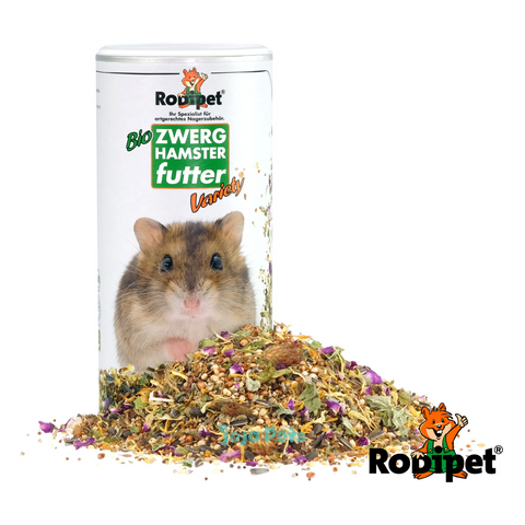 Dwarf Hamster Care Sheet: Food, Habitat & Health