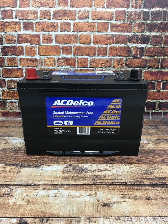 ac delco marine batteries