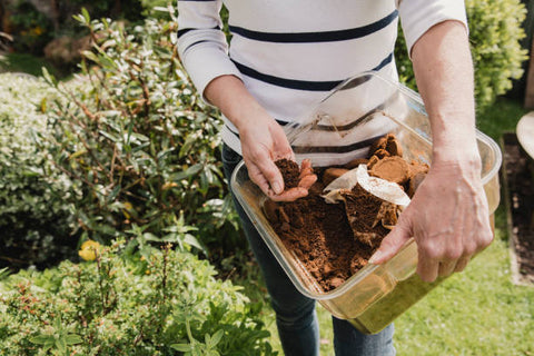 coffee grounds in garden