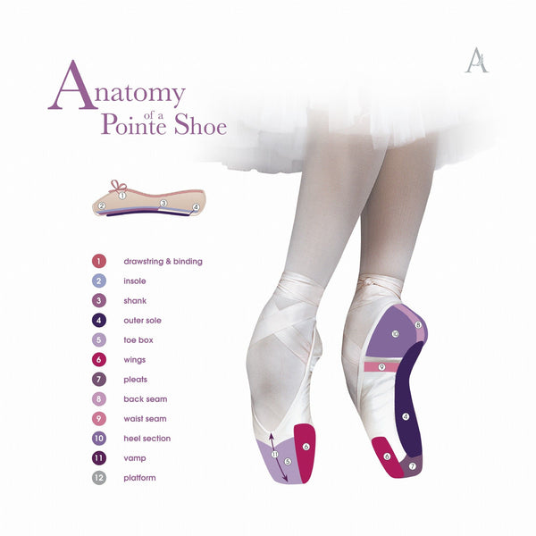 Anatomy of a Pointe Shoe