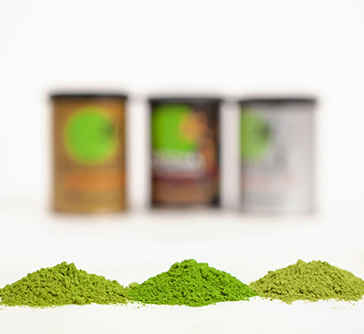 Buy Matcha Powder