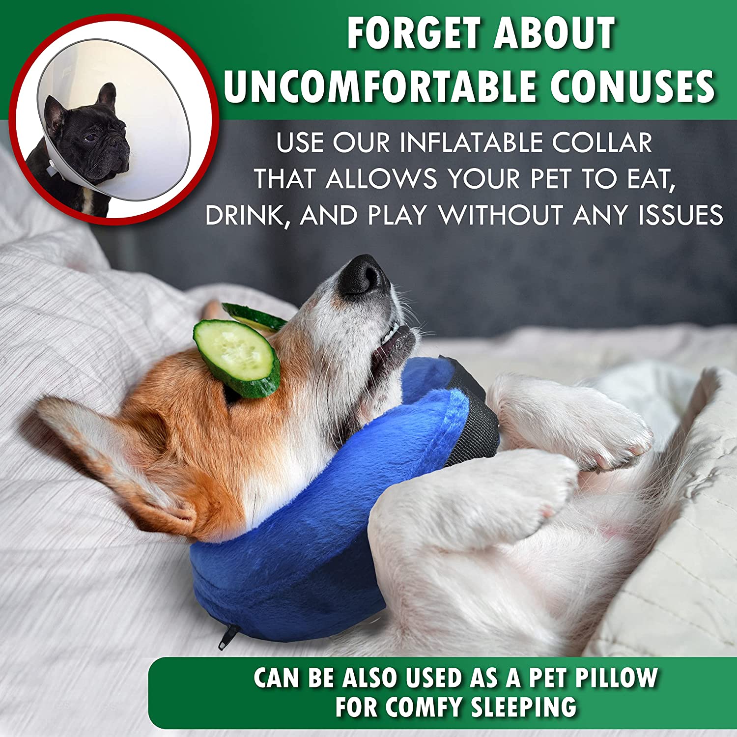 can dogs sleep in e collars