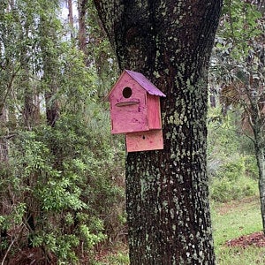 unfinished wood kids crafts