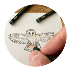 Sketch of a barn owl 