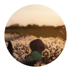 Child in a field blowing a dandelion clock