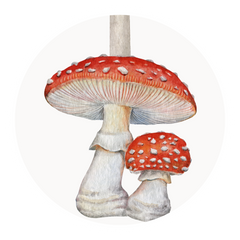 Mushroom Sketch Cake Topper 