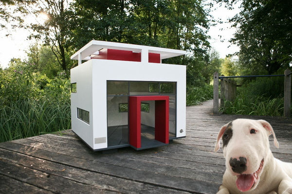 Dog houses