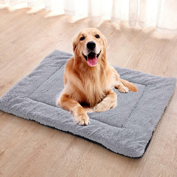 Dog mattresses