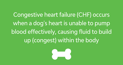 Congestive Heart Failure Definition