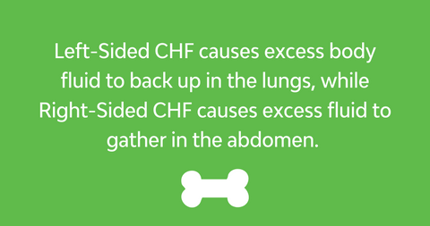 Left-Sided CHF vs. Right-Sided CHF